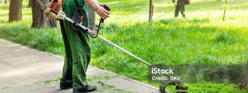 Worker mowing tall grass with electric or petrol lawn trimmer in city park or backyard. Gardening care tools and equipment. Process of lawn trimming with hand mower.