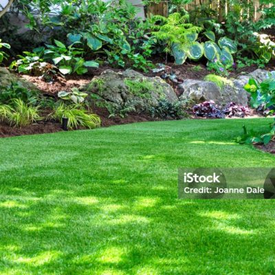 This beautiful backyard woodland garden features a maintenance free lawn made of realistic looking artificial grass, a huge landscaping trend for small spaces.
