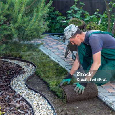 Landscape Gardener Laying Turf For New Lawn
